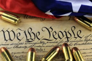 Senate Gun Control Bill- Second Amendment